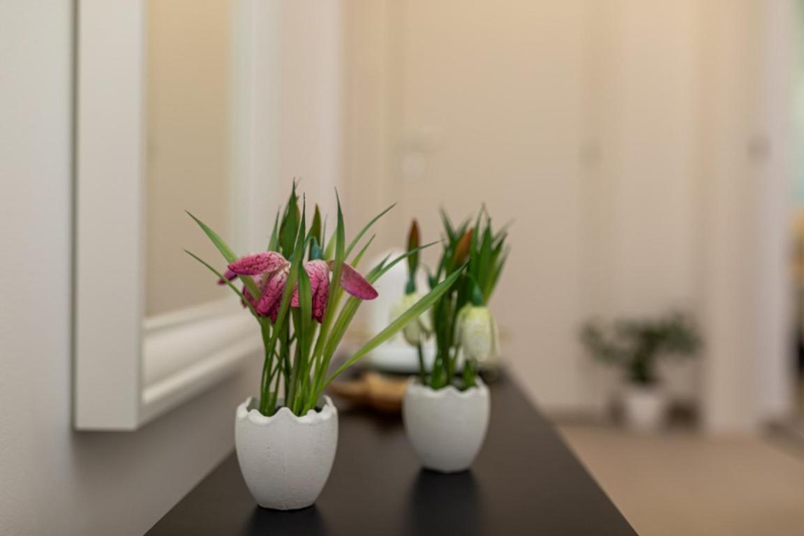 Apartman Grzetic سيلو المظهر الخارجي الصورة